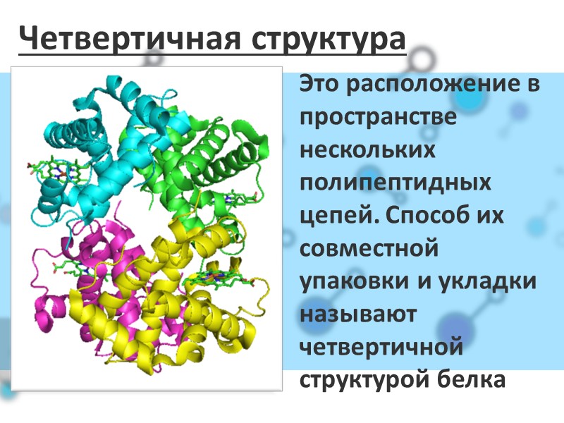 Четвертичная структура Это расположение в пространстве нескольких полипептидных цепей. Способ их совместной упаковки и